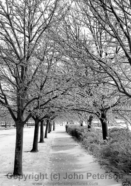 Winter Walkway